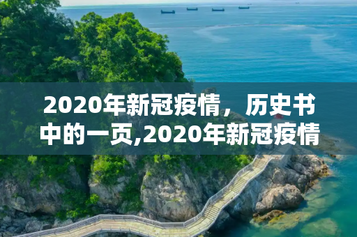 2020年新冠疫情，历史书中的一页,2020年新冠疫情历史书