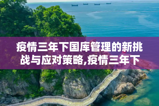 疫情三年下国库管理的新挑战与应对策略,疫情三年下国库管理的新挑战与应对策略