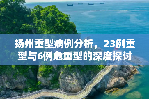 扬州重型病例分析，23例重型与6例危重型的深度探讨,扬州重型23例危重型6例