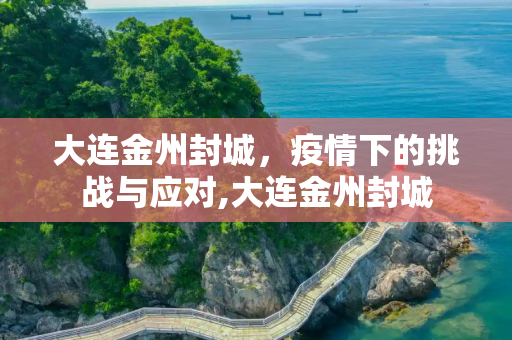 大连金州封城，疫情下的挑战与应对,大连金州封城