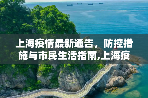 上海疫情最新通告，防控措施与市民生活指南,上海疫情最新通告