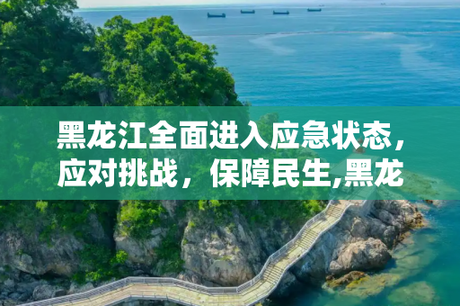 黑龙江全面进入应急状态，应对挑战，保障民生,黑龙江进入应急状态