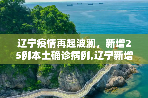 辽宁疫情再起波澜，新增25例本土确诊病例,辽宁新增25例本土确诊病例