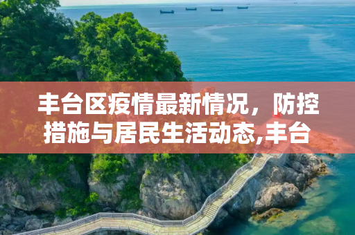 丰台区疫情最新情况，防控措施与居民生活动态,丰台区疫情最新情况