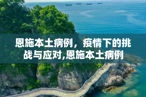 恩施本土病例，疫情下的挑战与应对,恩施本土病例