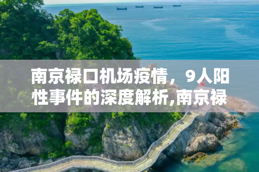 南京禄口机场疫情，9人阳性事件的深度解析,南京禄口机场9人新冠阳性