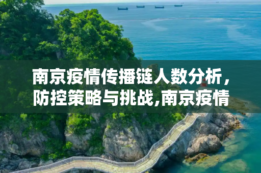 南京疫情传播链人数分析，防控策略与挑战,南京疫情传播链人数