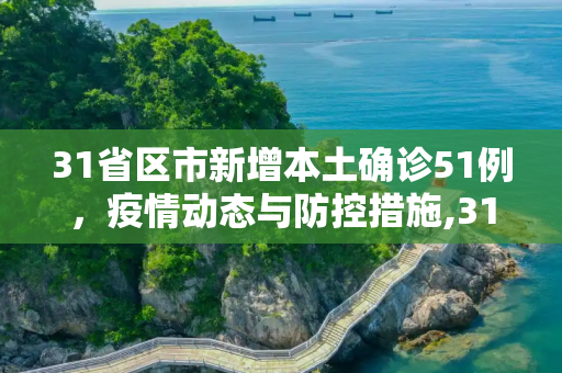 31省区市新增本土确诊51例，疫情动态与防控措施,31省区市新增本土确诊51例