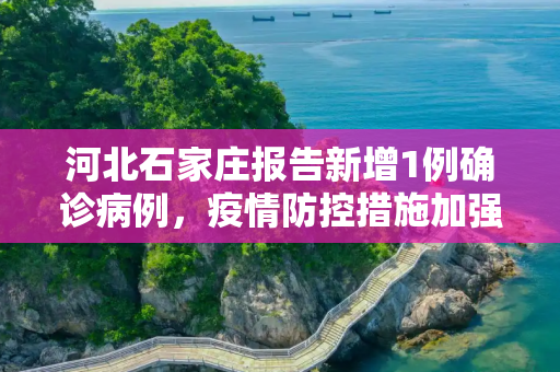 河北石家庄报告新增1例确诊病例，疫情防控措施加强,河北新增1例确诊病例在石家庄