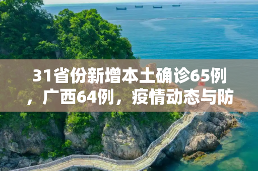 31省份新增本土确诊65例，广西64例，疫情动态与防控措施,31省份新增本土确诊65例广西64例的简单介绍