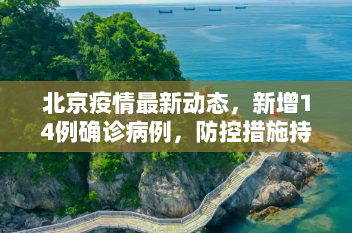 北京疫情最新动态，新增14例确诊病例，防控措施持续加强,北京新增14例确诊病例