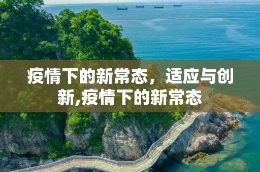 疫情下的新常态，适应与创新,疫情下的新常态