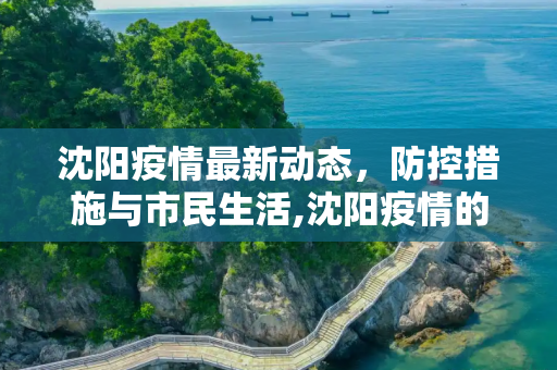 沈阳疫情最新动态，防控措施与市民生活,沈阳疫情的最新情况