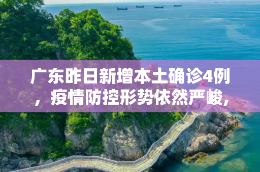 广东昨日新增本土确诊4例，疫情防控形势依然严峻,广东昨日新增本土确诊4例