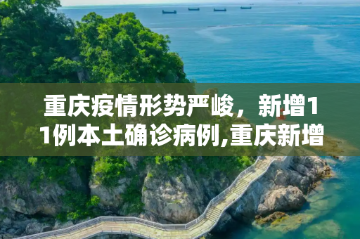 重庆疫情形势严峻，新增11例本土确诊病例,重庆新增11例本土确诊病例