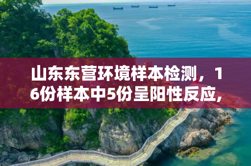 山东东营环境样本检测，16份样本中5份呈阳性反应,山东东营采集16份环境样本5份阳性