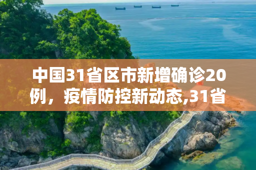 中国31省区市新增确诊20例，疫情防控新动态,31省新增确诊20例