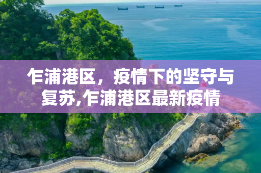 乍浦港区，疫情下的坚守与复苏,乍浦港区最新疫情