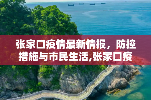 张家口疫情最新情报，防控措施与市民生活,张家口疫情最新情报