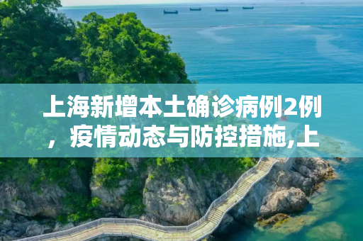 上海新增本土确诊病例2例，疫情动态与防控措施,上海新增本土确诊病例2例