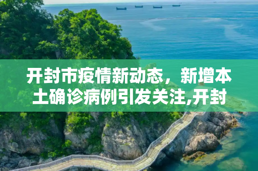 开封市疫情新动态，新增本土确诊病例引发关注,开封新增本土确诊