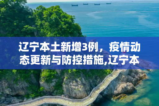 辽宁本土新增3例，疫情动态更新与防控措施,辽宁本土新增3例