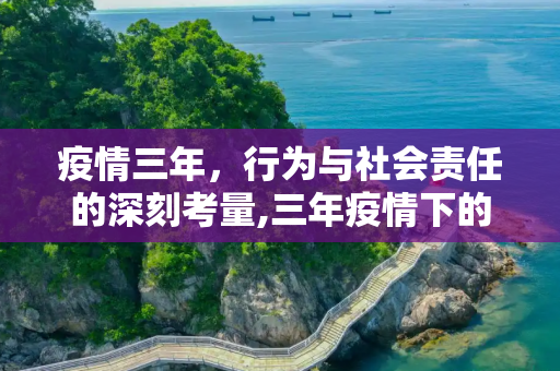 疫情三年，行为与社会责任的深刻考量,三年疫情下的行为与社会责任考量