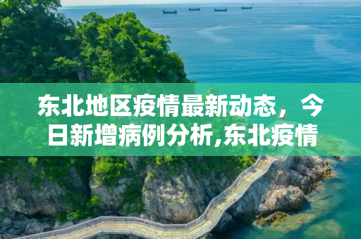 东北地区疫情最新动态，今日新增病例分析,东北疫情新增消息今天