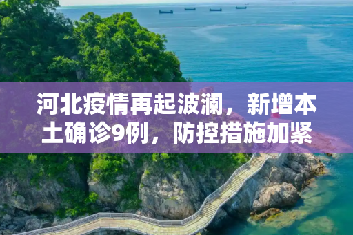 河北疫情再起波澜，新增本土确诊9例，防控措施加紧,河北新增本土确诊9例