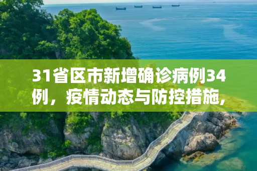 31省区市新增确诊病例34例，疫情动态与防控措施,31省区市新增确诊病例34例