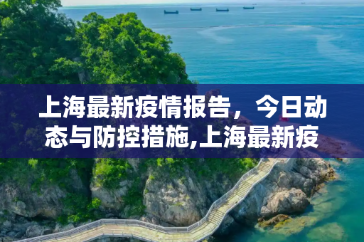上海最新疫情报告，今日动态与防控措施,上海最新疫情报告今天