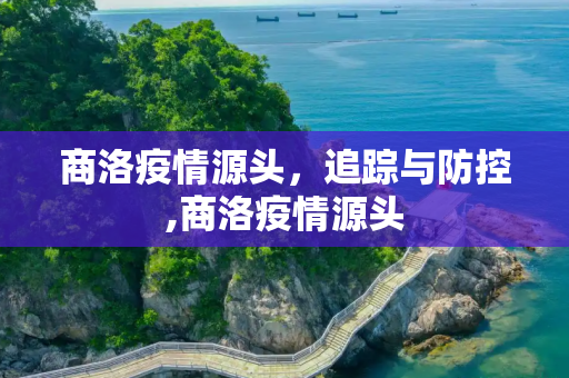 商洛疫情源头，追踪与防控,商洛疫情源头