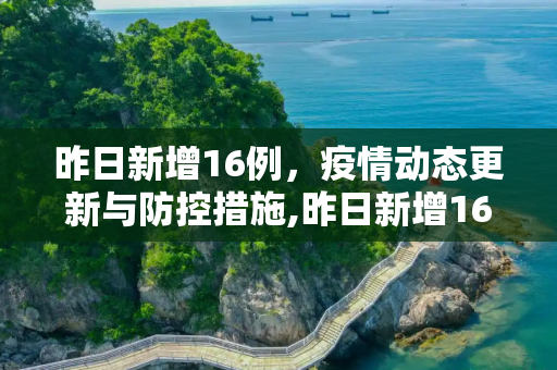 昨日新增16例，疫情动态更新与防控措施,昨日新增16例