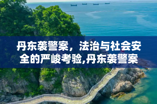 丹东袭警案，法治与社会安全的严峻考验,丹东袭警案