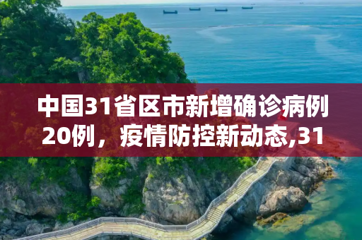 中国31省区市新增确诊病例20例，疫情防控新动态,31省区市新增确诊病例20例