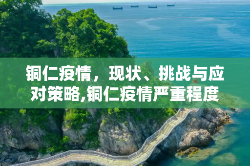 铜仁疫情，现状、挑战与应对策略,铜仁疫情严重程度