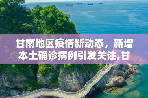 甘南地区疫情新动态，新增本土确诊病例引发关注,甘南新增本土确诊