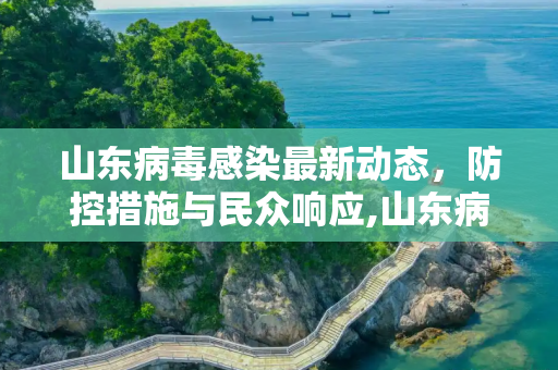 山东病毒感染最新动态，防控措施与民众响应,山东病毒感染最新消息
