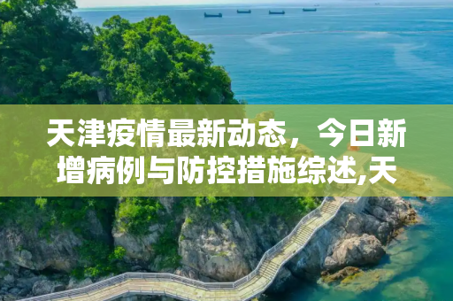 天津疫情最新动态，今日新增病例与防控措施综述,天津新增疫情最新消息今天