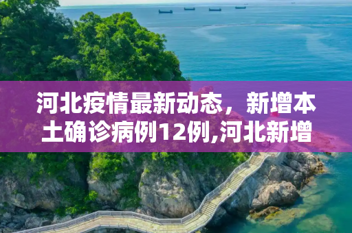 河北疫情最新动态，新增本土确诊病例12例,河北新增本土确诊病例12例