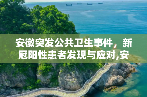安徽突发公共卫生事件，新冠阳性患者发现与应对,安徽发现新冠阳性患者