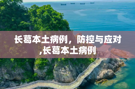 长葛本土病例，防控与应对,长葛本土病例