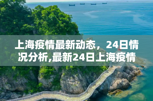 上海疫情最新动态，24日情况分析,最新24日上海疫情如何