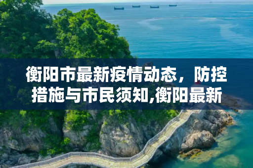 衡阳市最新疫情动态，防控措施与市民须知,衡阳最新疫情情况